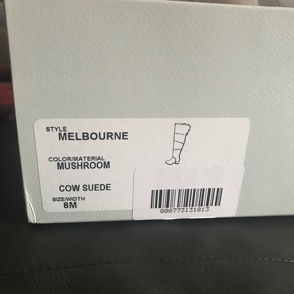 NIB over the knee gray suede boots - Picture 3 of 8